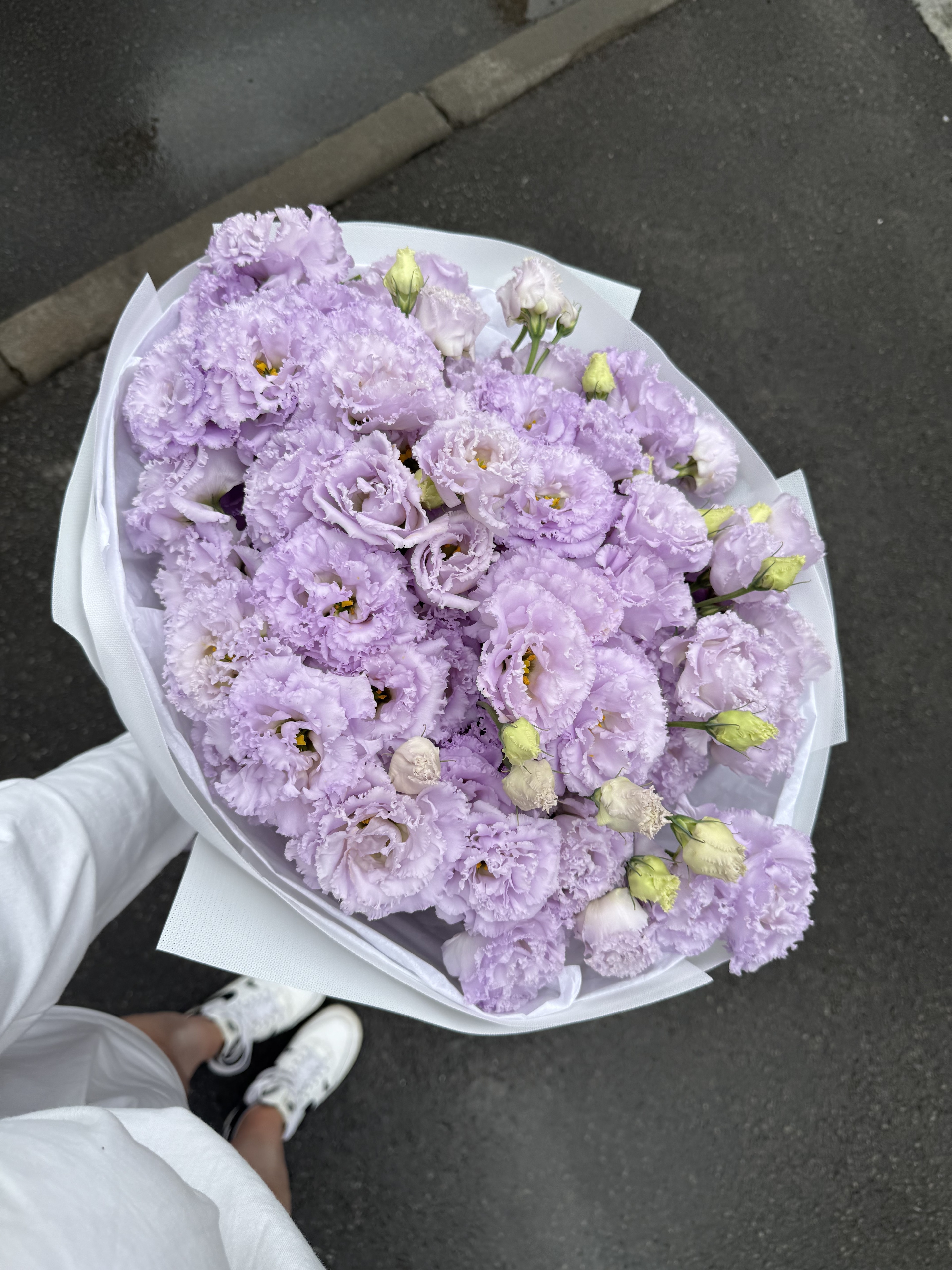 ЛАВАНДОВА ХМАРИНКА