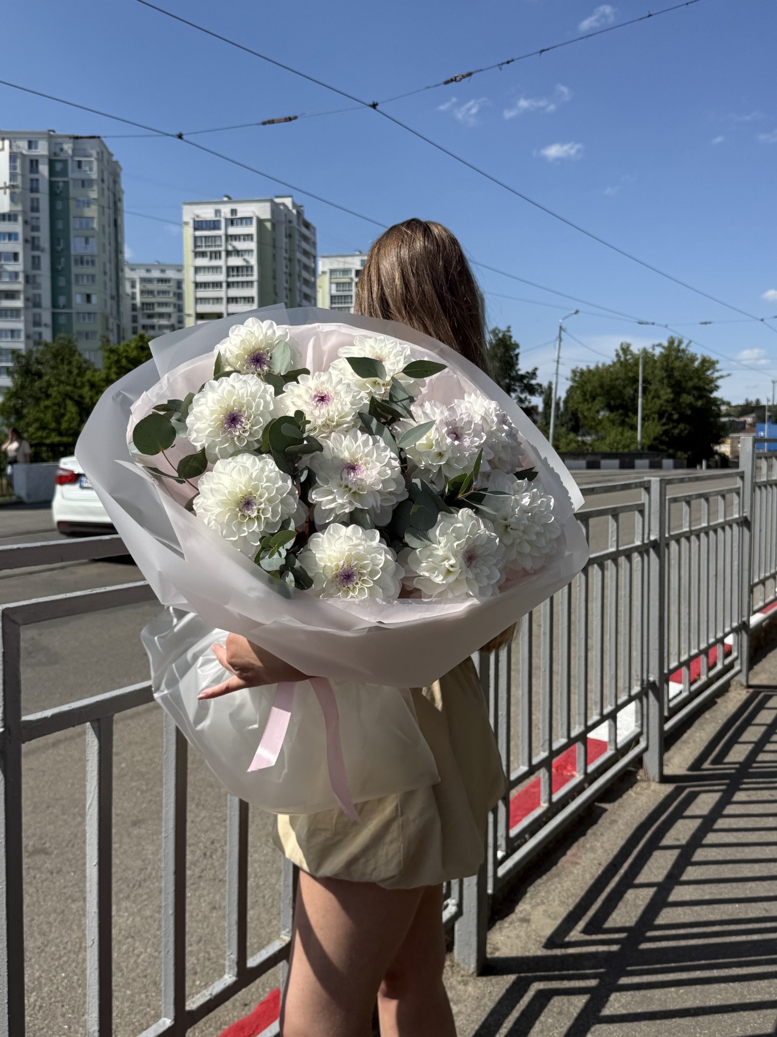 НІЖНІ EVELINE