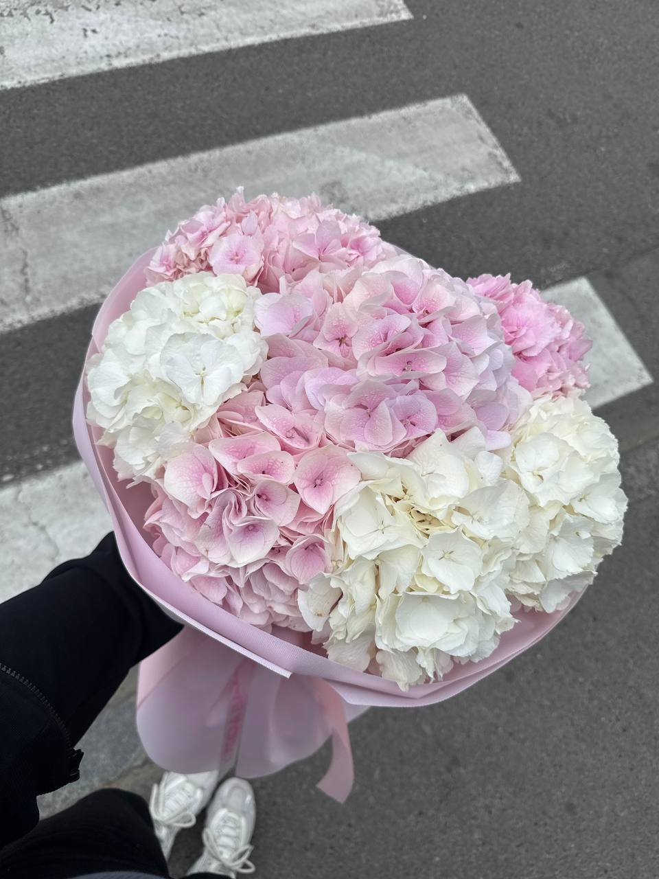 SWEET ГОРТЕНЗІЇ