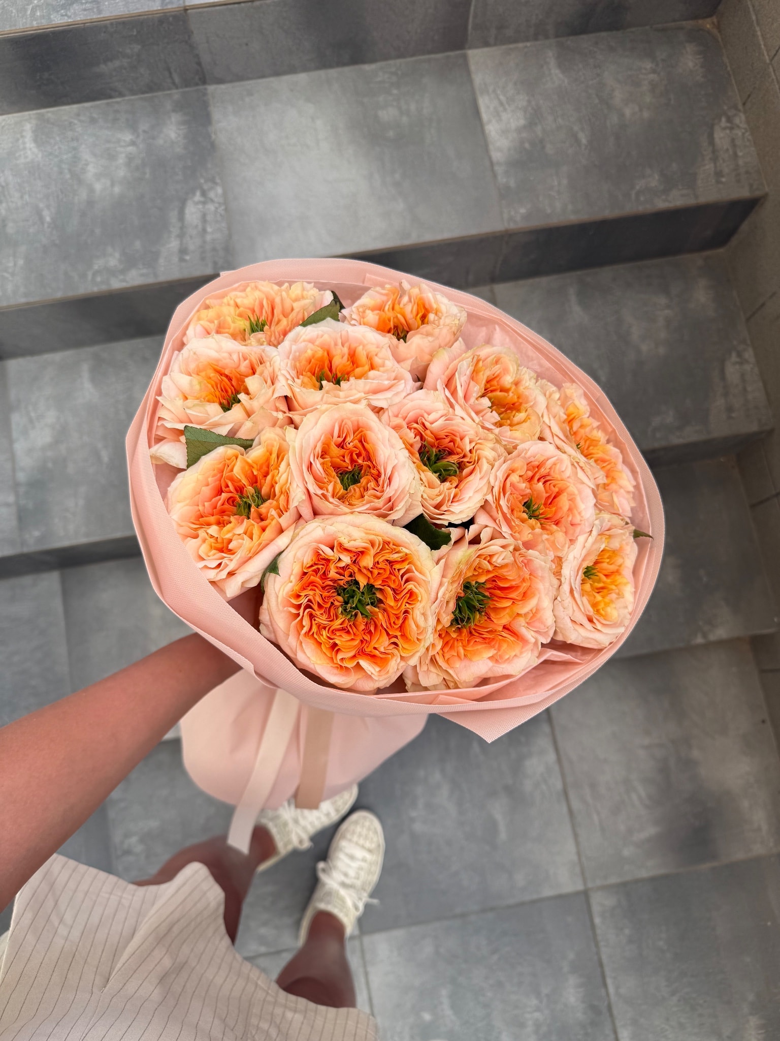 APRICOT KISS